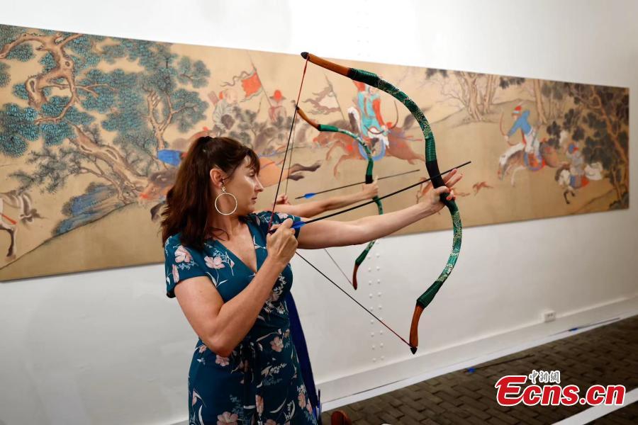 验丰富的球