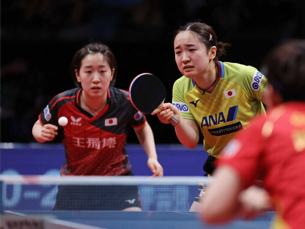 它不僅為觀 它不僅為觀