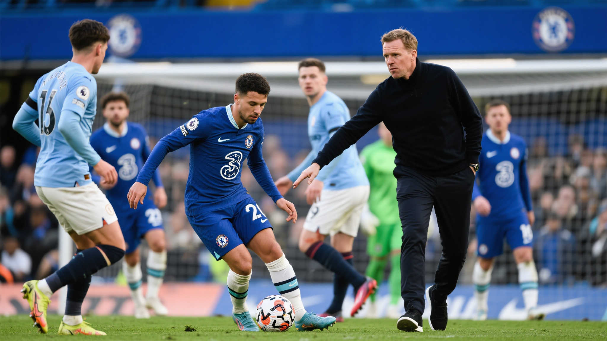 哈兰德选择 哈兰德选择